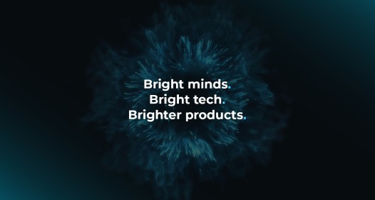 Cover slika niške IT firme Brightly