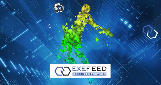 Cover slika niške IT firme ExeFeed