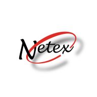 Logo niške IT firme Netex