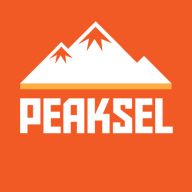 Logo niške IT firme Peaksel